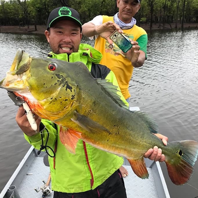 Desejo Cuca Pesca
